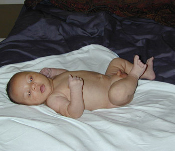 Bryson sur le dos